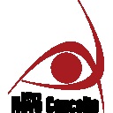 Retrato de uma starter