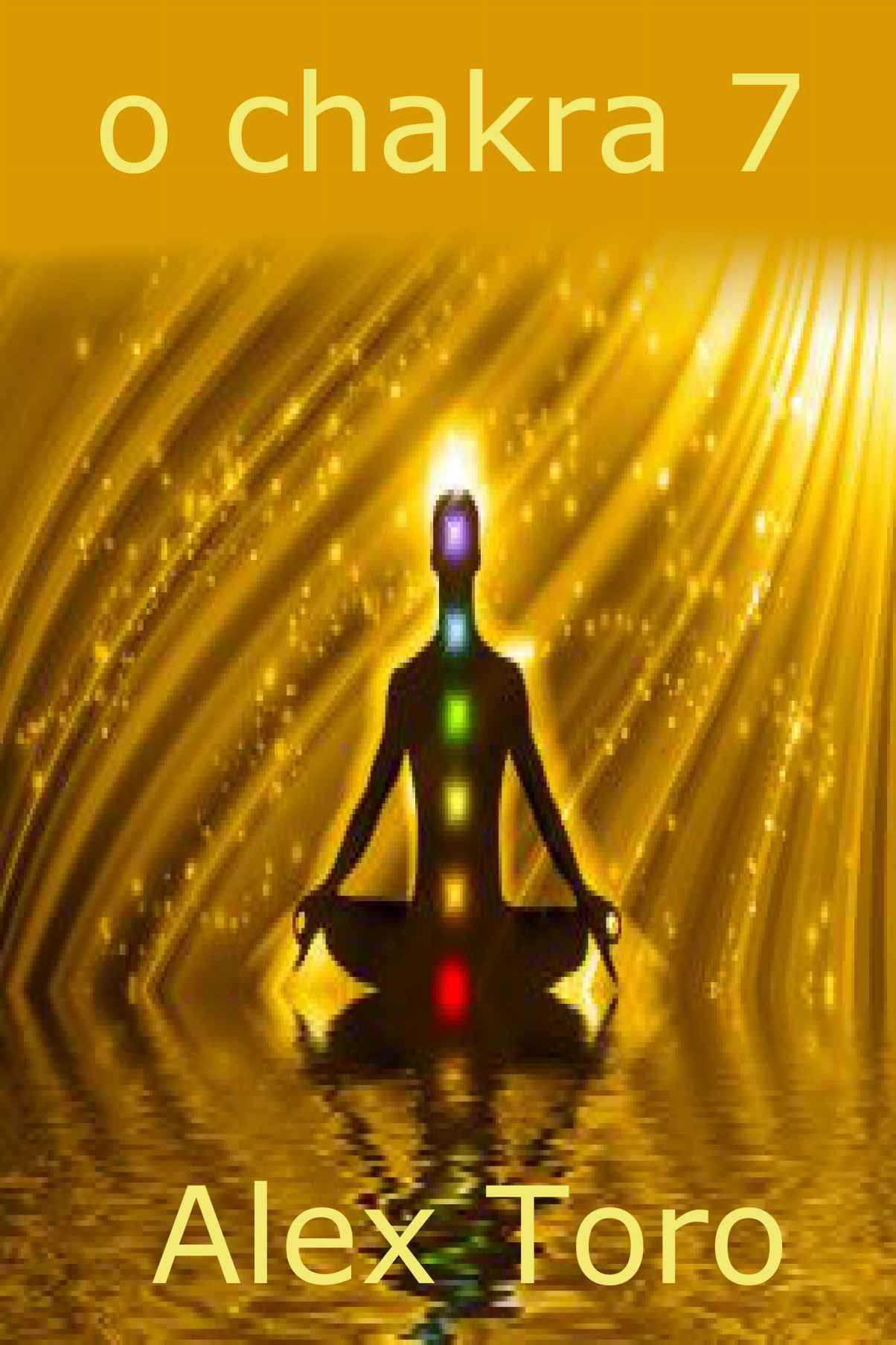 o chakra 7: Iniciantes guia para a aprendizagem e equilibrar os chakras