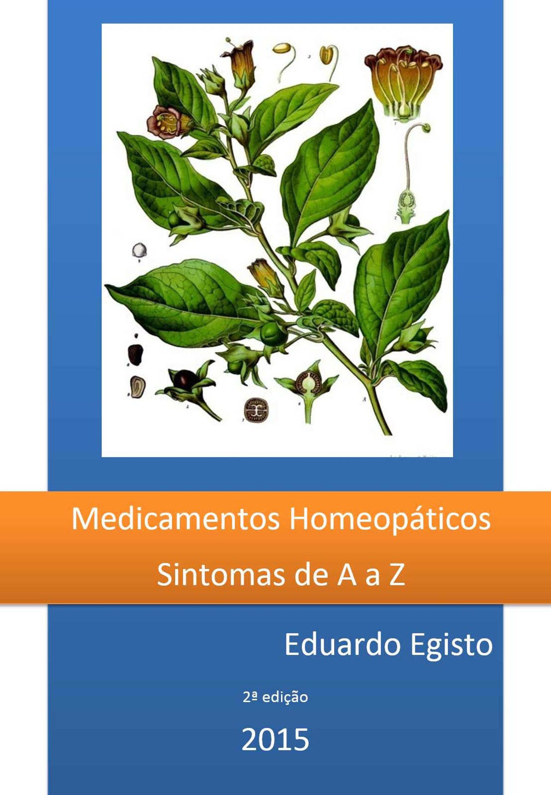Medicamentos Homeopáticos de A a Z: Sintomas de A a Z