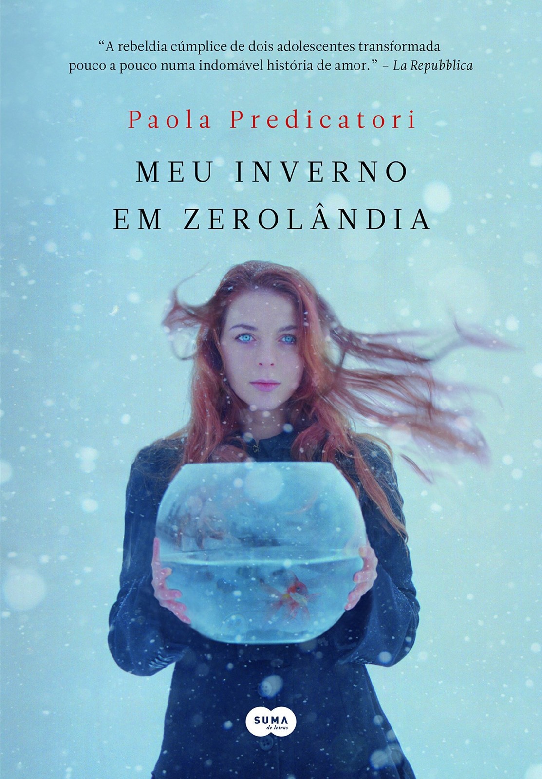 Meu Inverno em Zerolândia