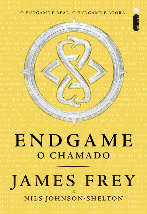 Endgame: O chamado
