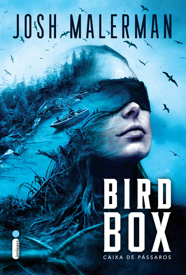 Caixa de Pássaros: Bird Box