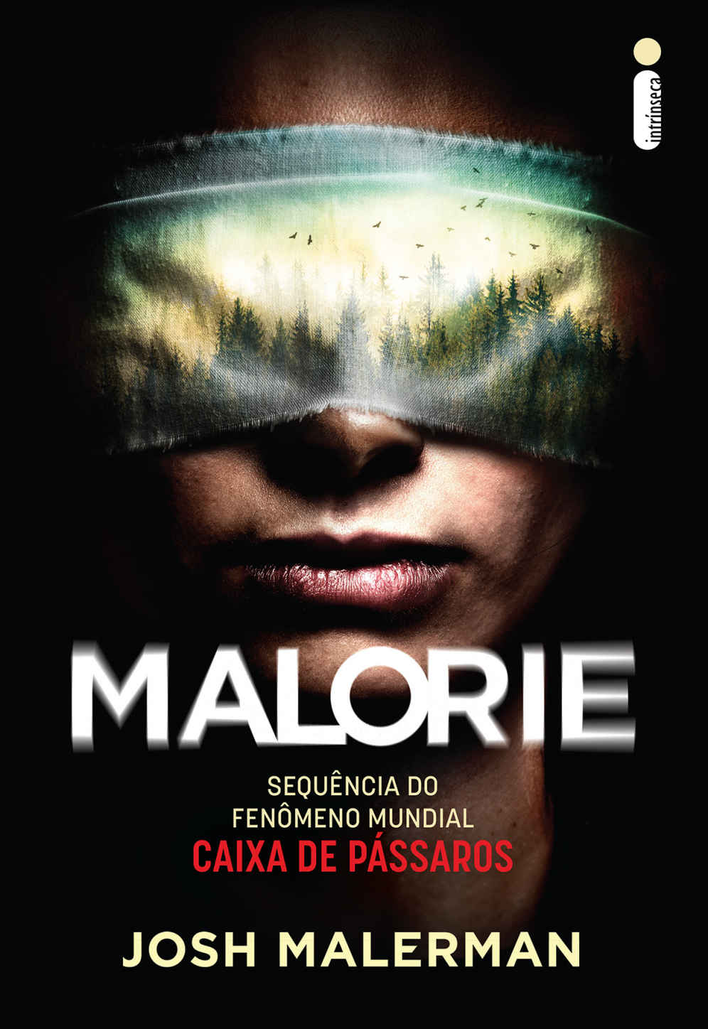 Malorie – Sequência De Caixa De Pássaros
