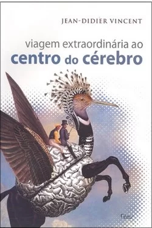 Viagem extraordinária ao centro do cérebro